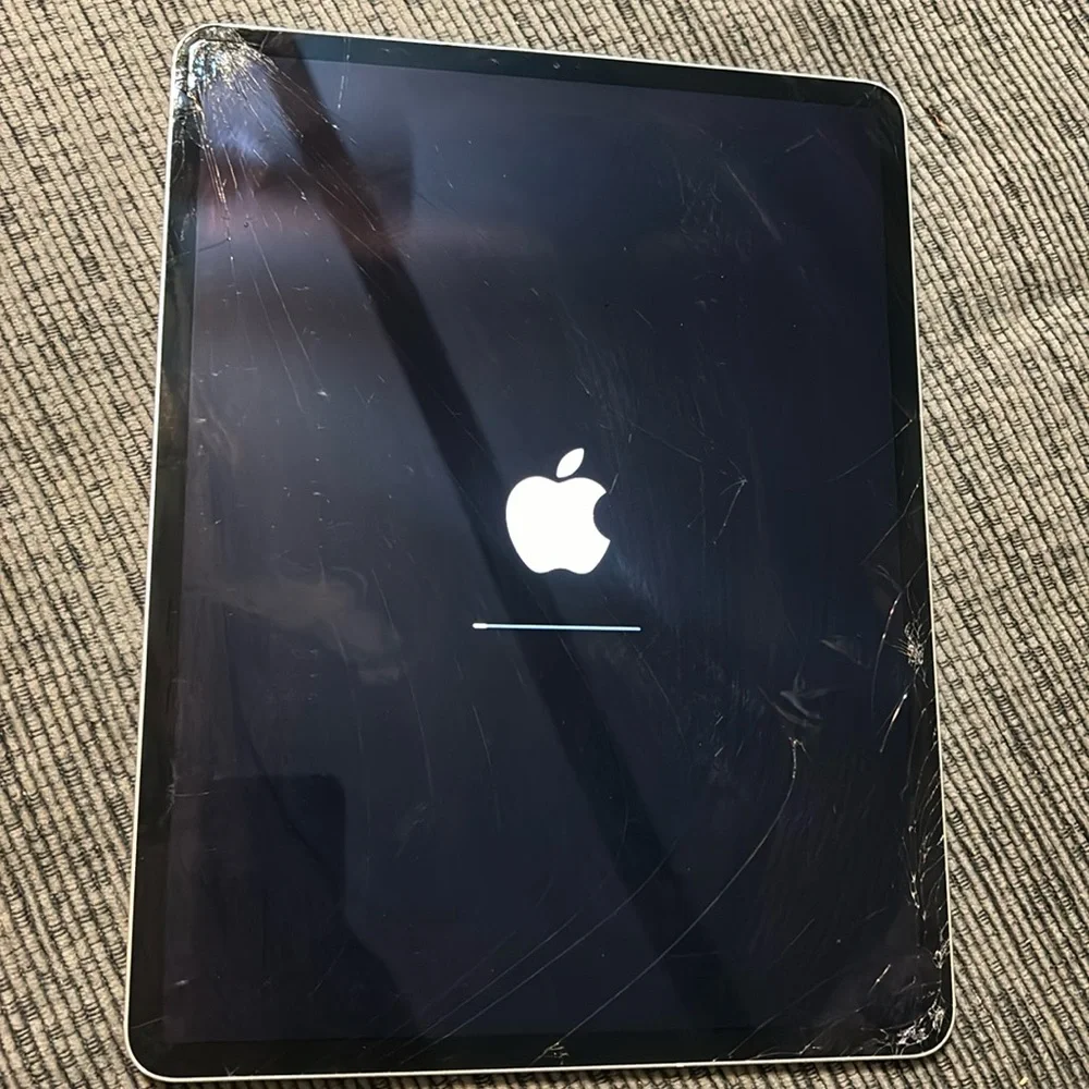 iPad Pro 12.9 inch